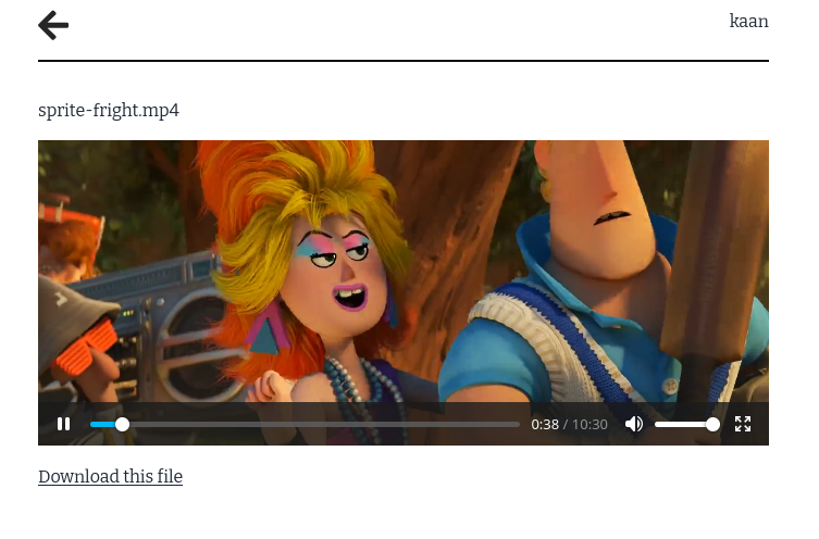 A page with the text sprite-fright.mp4, and a video player below showing a frame from the movie. Below the player is a link that says Download this file.